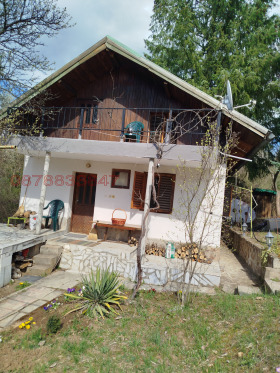 ����� ������� ����,�. ��������, ������ �����