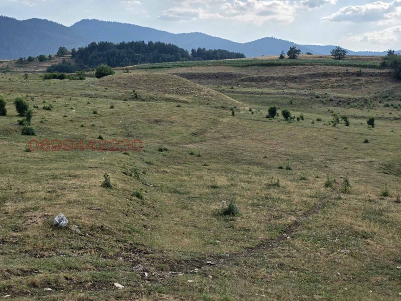 Продава КЪЩА, с. Равногор, област Пазарджик, снимка 11 - Къщи - 52783794