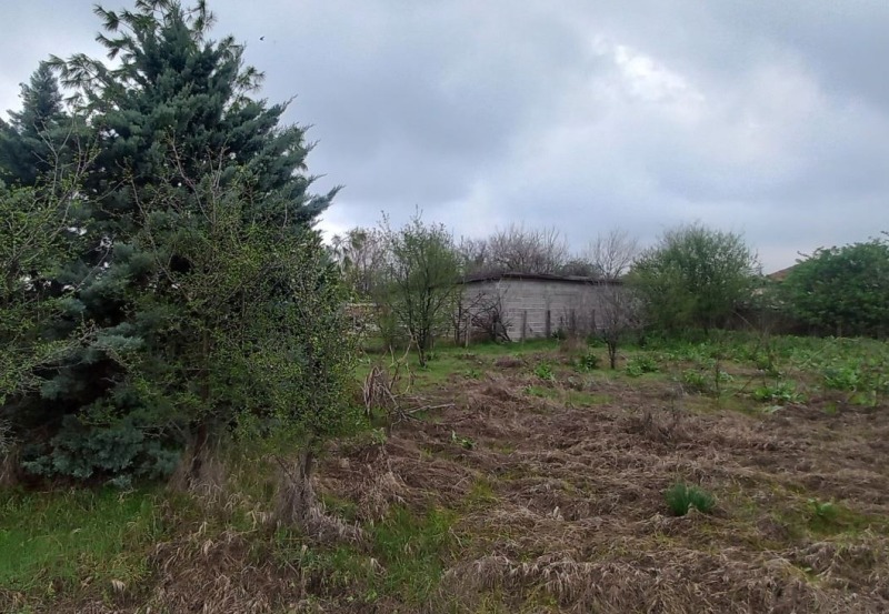 Na prodej  Dům oblast Plovdiv , Otec Kirilovo , 102 m2 | 75478936 - obraz [5]