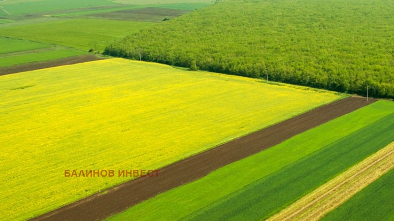 Продава ЗЕМЕДЕЛСКА ЗЕМЯ, с. Вельово, област Търговище, снимка 1 - Земеделска земя - 47132313