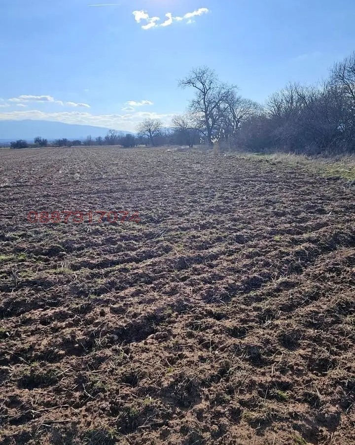 Продава ЗЕМЕДЕЛСКА ЗЕМЯ, гр. Съединение, област Пловдив