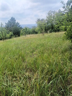 ������� ������ | Imot.bg � ����� ������ 4