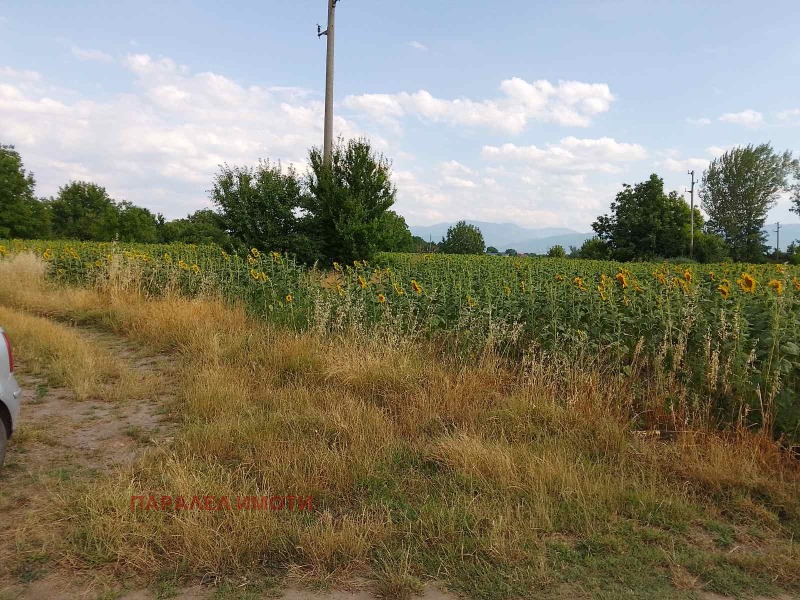 Til salg  Grund region Plovdiv , Yagodovo , 1060 kvm | 51310554 - billede [3]