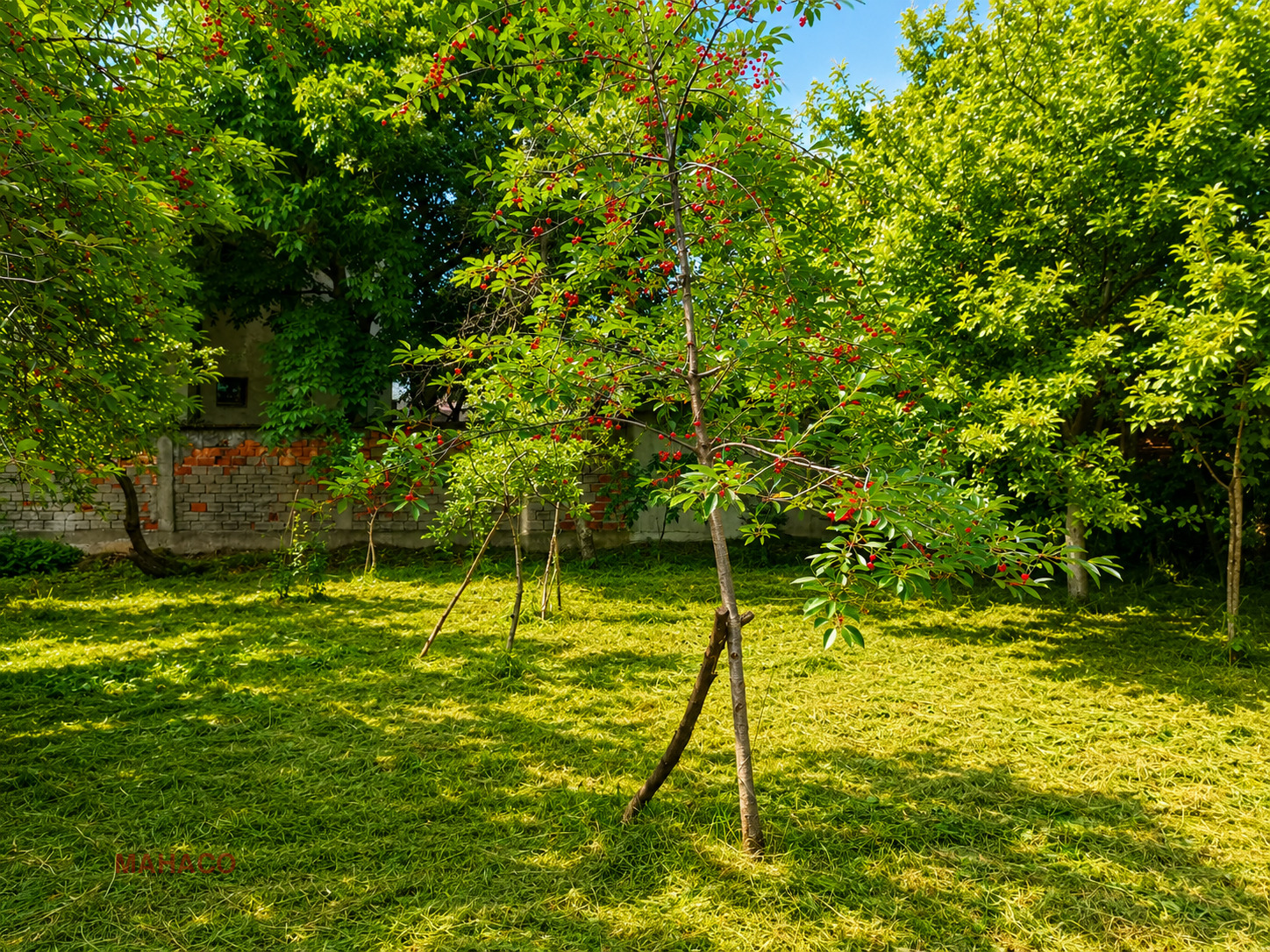 Продава ПАРЦЕЛ, гр. София, Горна баня, снимка 8 - Парцели - 55025870
