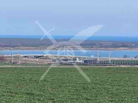 ����� ������� ������,���� ������, ���� ���������