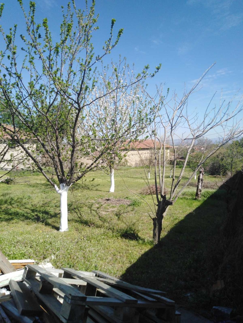 Продава КЪЩА, с. Мезек, област Хасково, снимка 3 - Къщи - 52689518