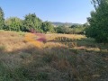 Продава ПАРЦЕЛ, област Варна, с. Слънчево • 19500 € • 25846531 — Holmes.bg