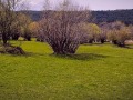 Продава ПАРЦЕЛ, област Благоевград, с. Добърско • 68400 € • 31478994 — Holmes.bg