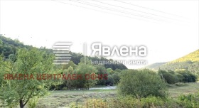 ����� ������� ������,��. �������, ������ �����