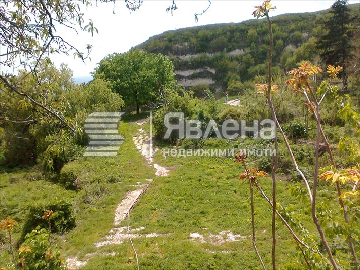 For Sale  Plot region Dobrich , Balchik , 1000 sq.m | 25262883 - image [6]