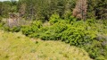 Продава ПАРЦЕЛ, област Русе, с. Николово • 14500 € • 89777951 — Holmes.bg