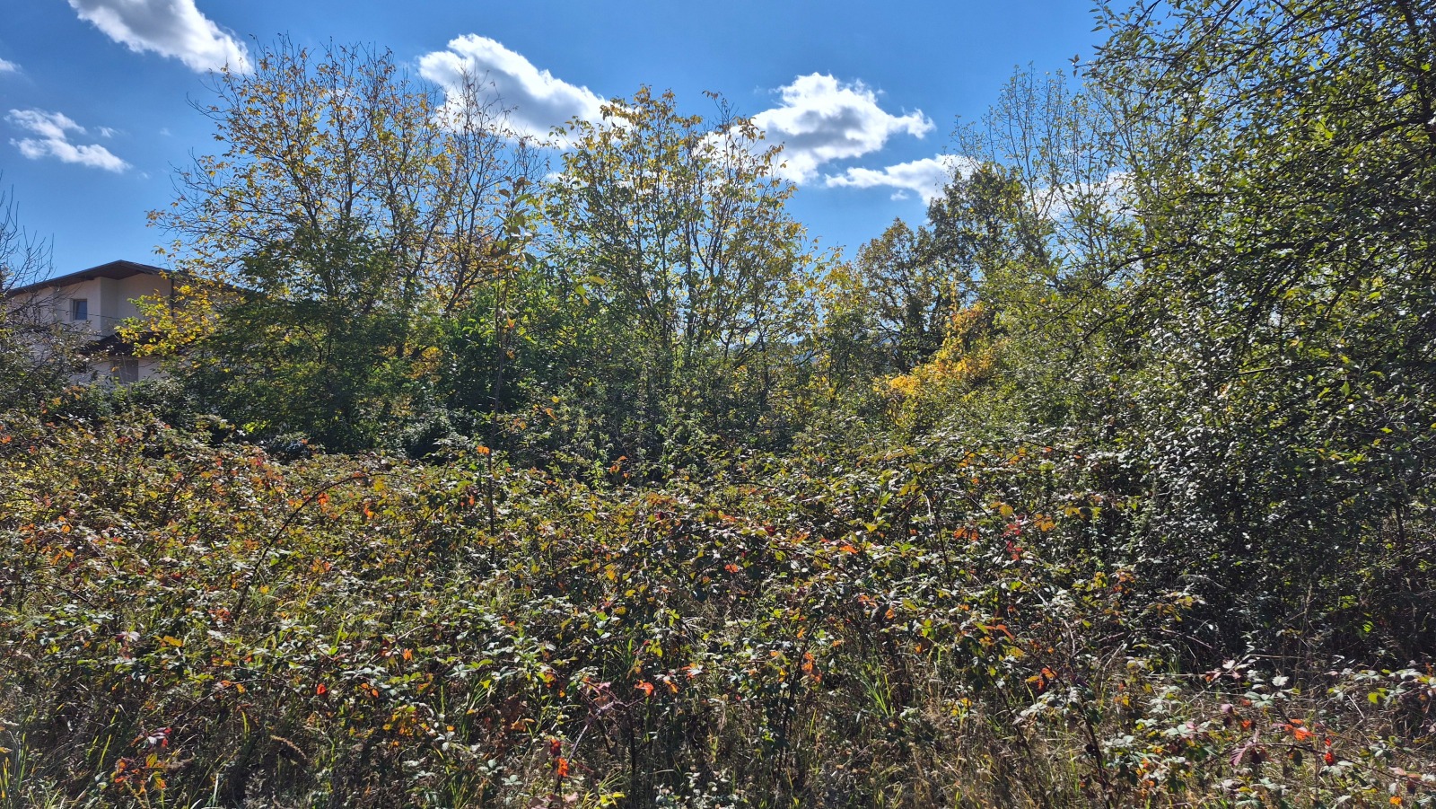 ������� ������ | Imot.bg � ����������� 7