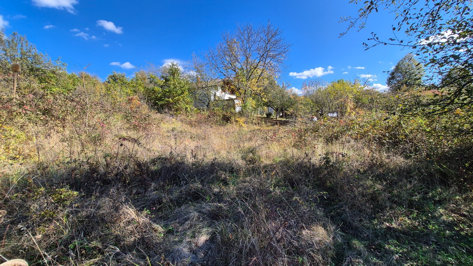 Продава ПАРЦЕЛ, с. Дивеци, област Габрово, снимка 6 - Парцели - 53768360