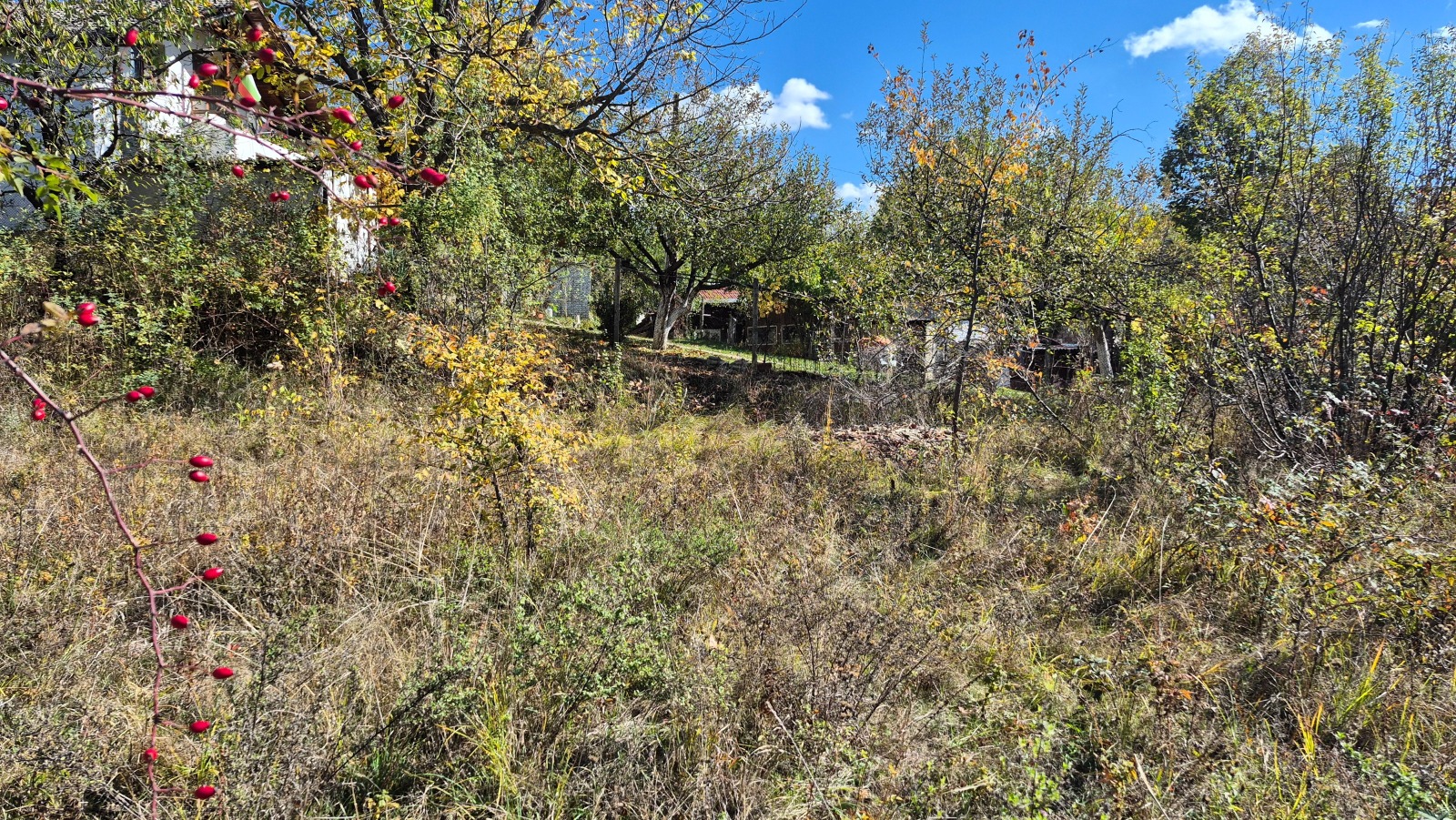 Продава ПАРЦЕЛ, с. Дивеци, област Габрово, снимка 8 - Парцели - 53768360