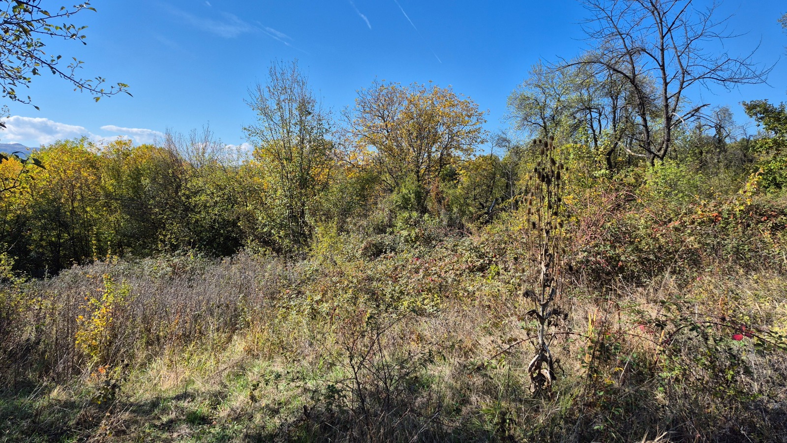 Продава ПАРЦЕЛ, с. Дивеци, област Габрово, снимка 9 - Парцели - 53768360