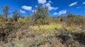 Продава ПАРЦЕЛ, с. Дивеци, област Габрово, снимка 5