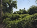 Продава ПАРЦЕЛ, област Велико Търново, с. Джулюница • 12000 € • 34991474 — Holmes.bg