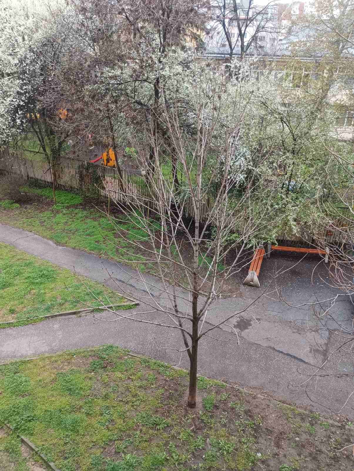 ������� 3-����� | Imot.bg � ����������� 11