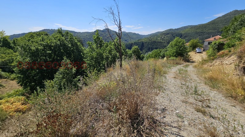 Продава КЪЩА, с. Оряховец, област Смолян, снимка 14 - Къщи - 52780956