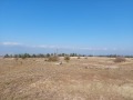 Продава ПАРЦЕЛ, с. Баня, област Благоевград, снимка 2