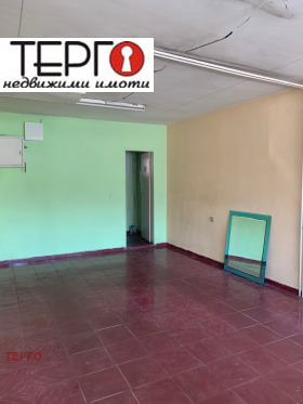 ����� ������� �������,���� ����, ������