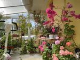 На продаж  Будинок Варна , к.к. Св.Св. Константин и Елена , 200 кв.м | 88743781 - зображення [11]