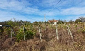 Juoni Banevo, Burgas