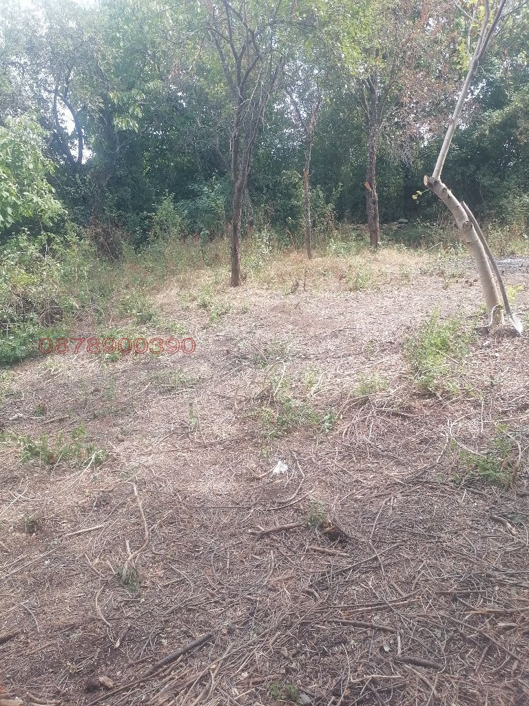 En venta  Trama región Sofia , Kamenitsa , 581 metros cuadrados | 96499784 - imagen [2]