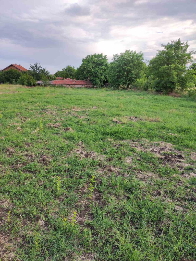 Продается  Сюжет область Стара Загора , Кравино , 1752 кв.м | 66742402
