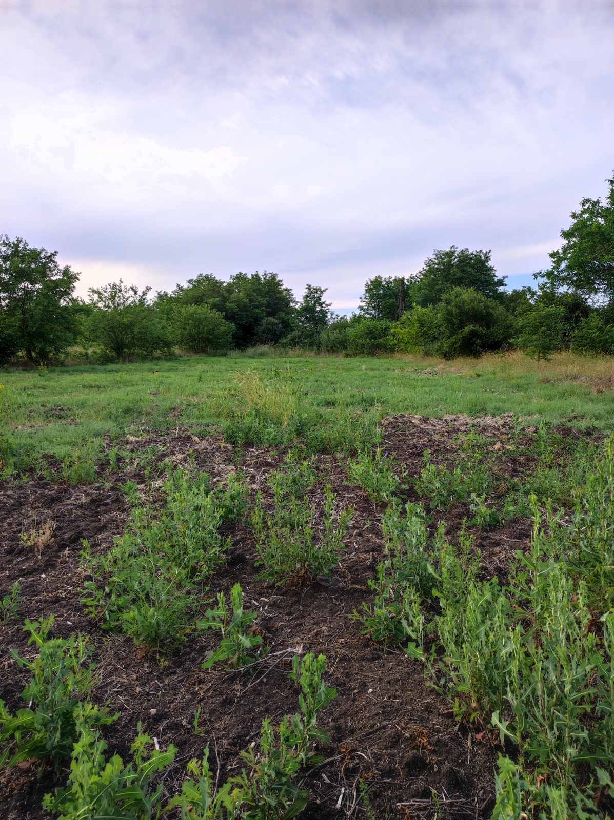 Продава ПАРЦЕЛ, с. Кравино, област Стара Загора, снимка 2 - Парцели - 51252123