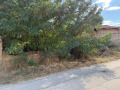 Продава КЪЩА, с. Виноградец, област Пазарджик, снимка 3