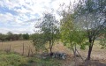 Продава ПАРЦЕЛ, с. Бръшлен, област Русе, снимка 1