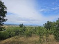Продава ЗЕМЕДЕЛСКА ЗЕМЯ, с. Марково, област Пловдив, снимка 2