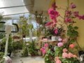 Продава КЪЩА, град Варна, к.к. Св.Св. Константин и Елена • 500000 € • 53016163 — Holmes.bg