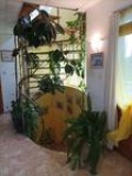 Продава КЪЩА, град Варна, к.к. Св.Св. Константин и Елена • 500000 € • 53016163 — Holmes.bg