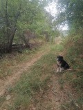 Продава ПАРЦЕЛ, област София, с. Каменица • 33000 лв. • 66024209 — Holmes.bg