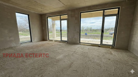 ����� ������� ����,���� ������, ������