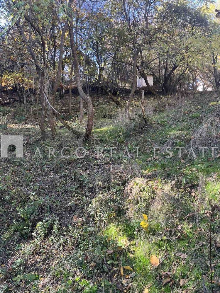 Продава ПАРЦЕЛ, с. Владо Тричков, област София област, снимка 3 - Парцели - 52524905