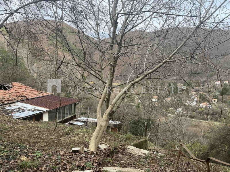 Продава ПАРЦЕЛ, област София, с. Владо Тричков • 60000 € / 117349.80 лв. • 65025971 1