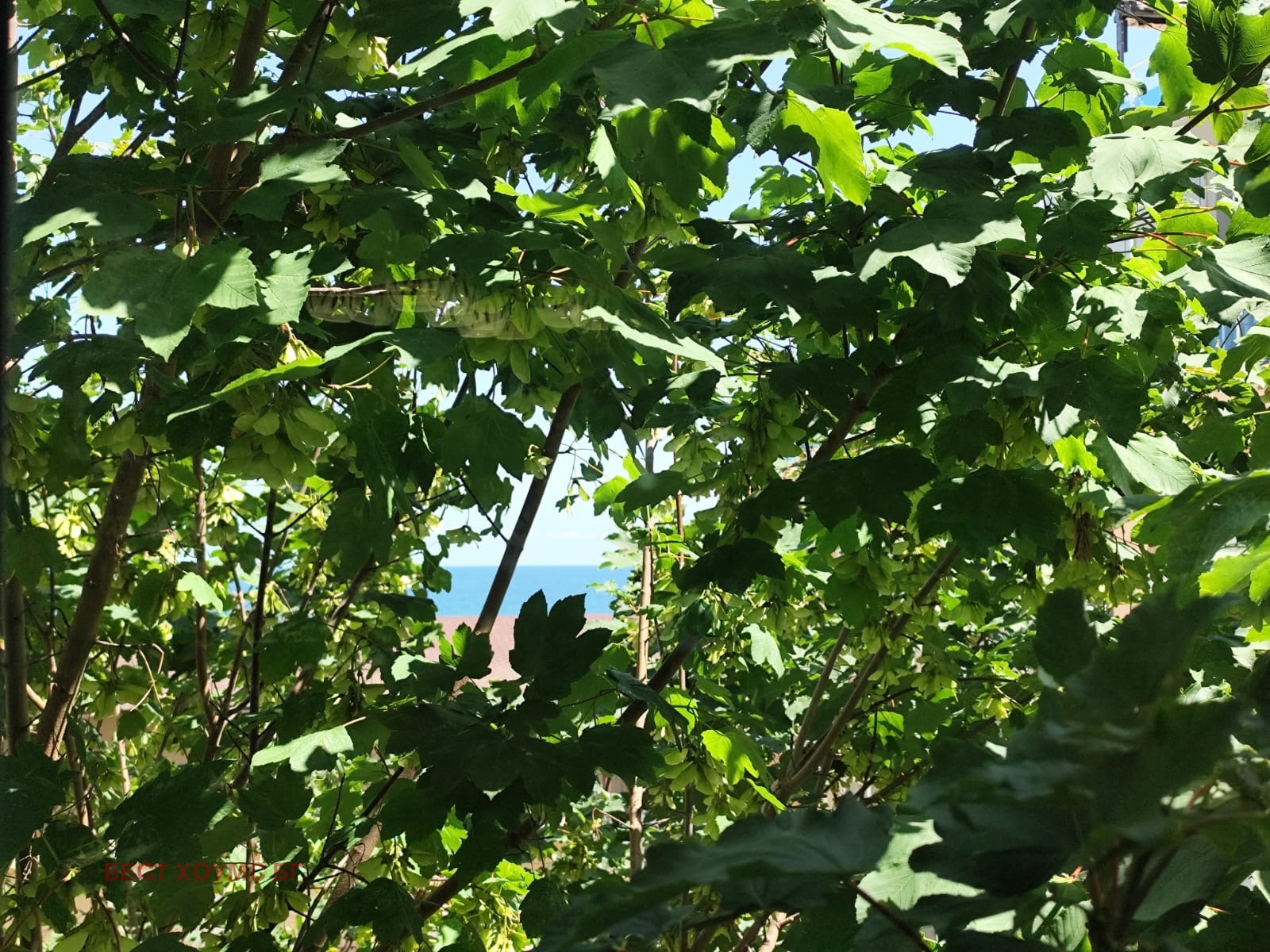 ������� 3-����� | Imot.bg � ����������� 12