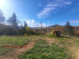 Plot Troyan, region Lovech 1