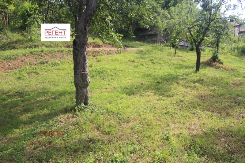 Til salg  Grund region Gabrovo , Tranito , 926 kvm | 95940756 - billede [5]