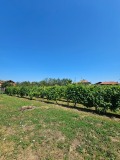 Продава КЪЩА, област Ловеч, с. Славяни • 48000 € • 57199822 — Holmes.bg