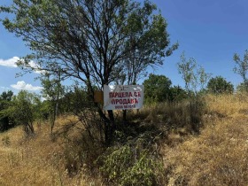 For Sale Plot