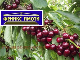 Продава  Земеделска земя, с. Горна Гращица