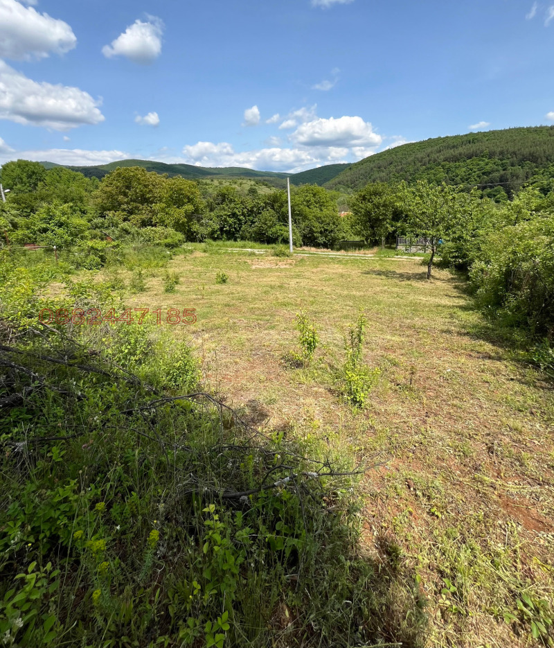 Продава ПАРЦЕЛ, с. Горна Диканя, област Перник, снимка 4 - Парцели - 52781400