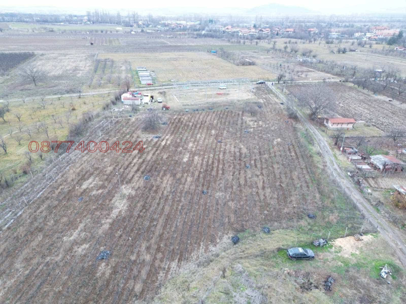 Продава ПАРЦЕЛ, с. Пиперков чифлик, област Кюстендил, снимка 3 - Парцели - 53386861