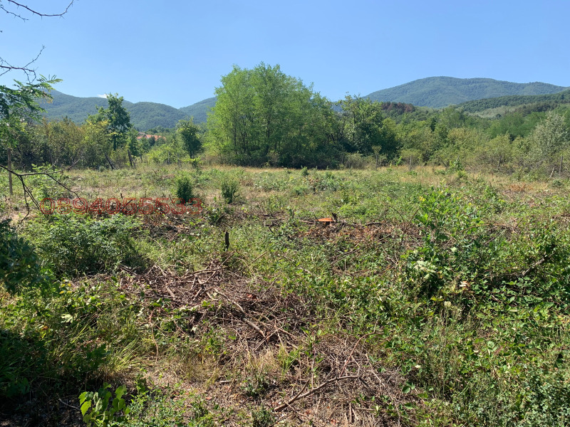 Продава ПАРЦЕЛ, с. Новаково, област Пловдив, снимка 6 - Парцели - 53375088