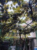 Продава ЕТАЖ ОТ КЪЩА, гр. Русе, Родина 2, снимка 3