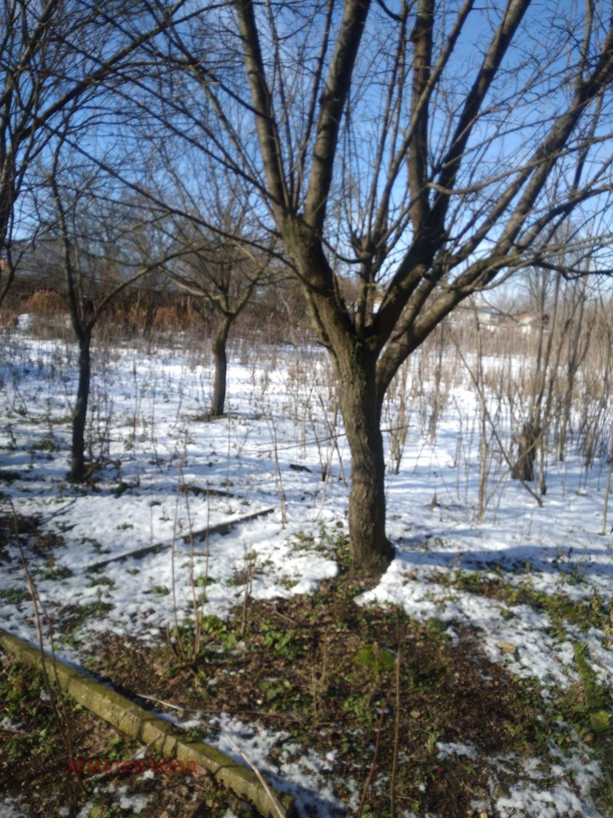 ������� ���� | Imot.bg � ����������� 6